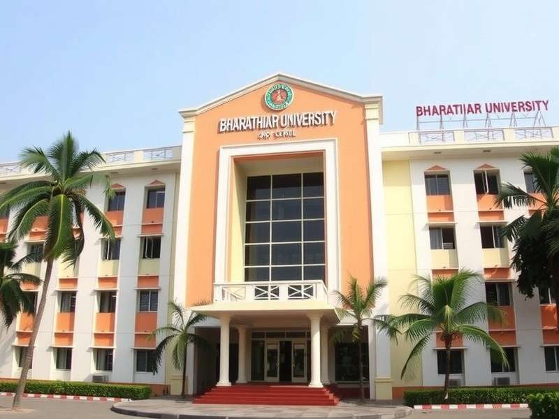 Undergraduate Programs